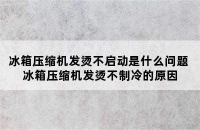 冰箱压缩机发烫不启动是什么问题 冰箱压缩机发烫不制冷的原因